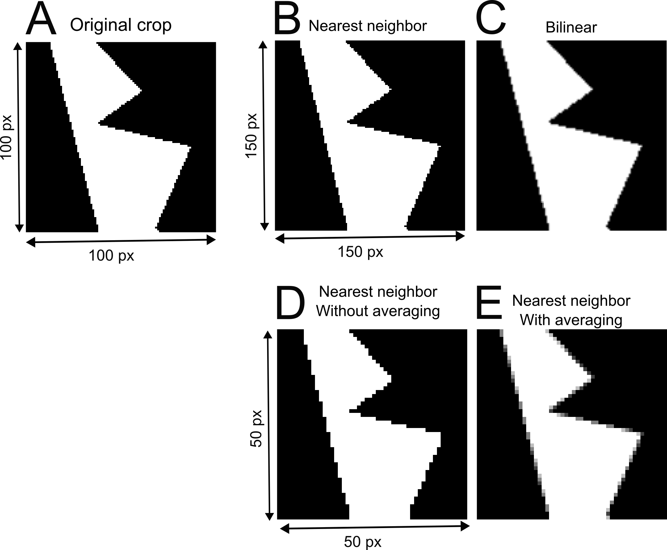 Image resized with different interpolations