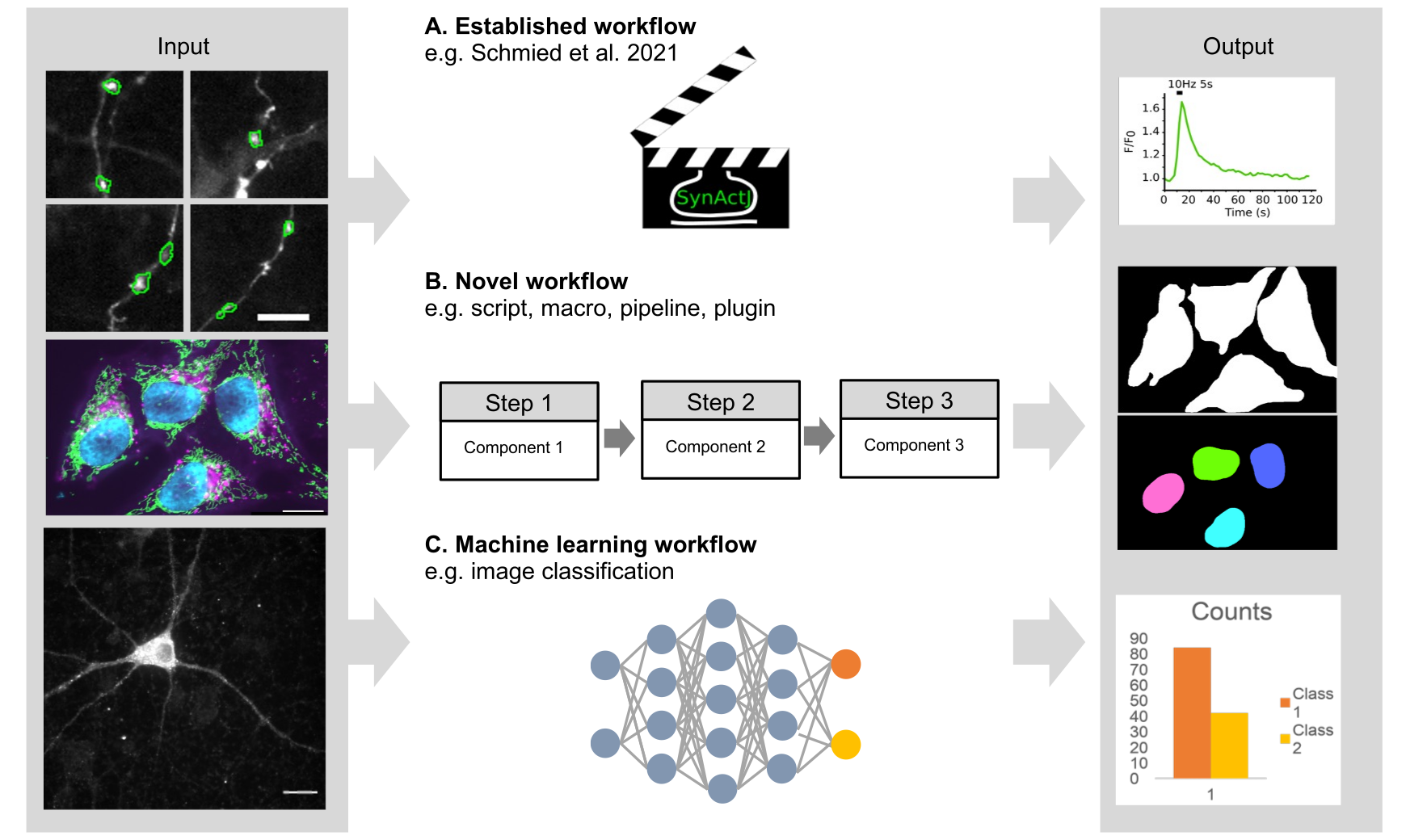 Overview of analysis workflows